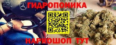 молекула духа Краснокаменск