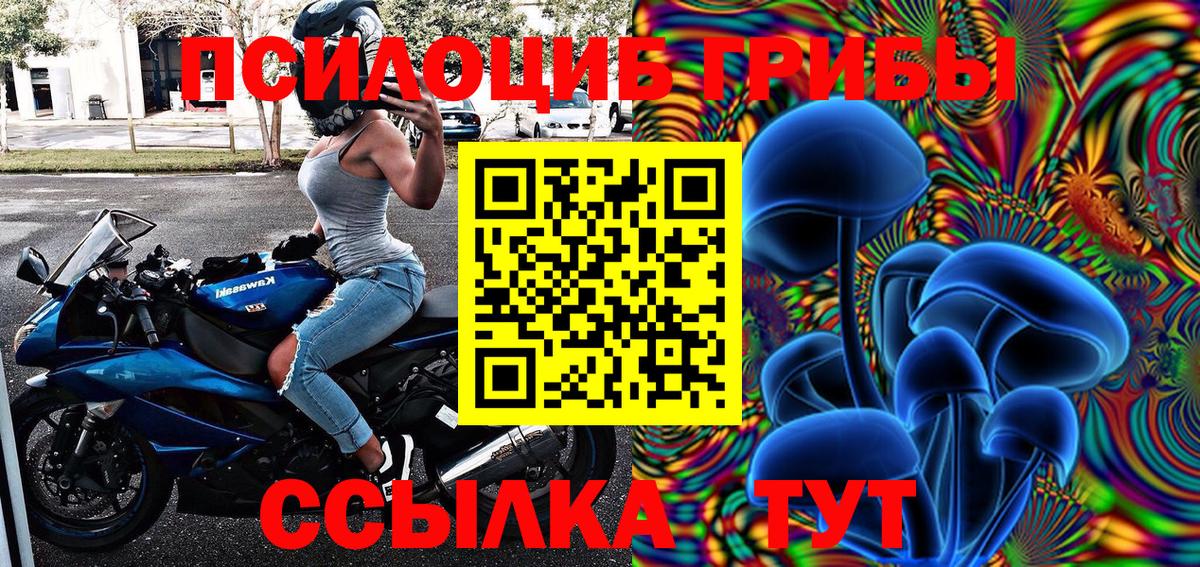 Галлюциногенные грибы Psilocybine cubensis  Псилоцибиновые грибы Psilocybine cubensis  Вход с VPN  Алапаевск 
