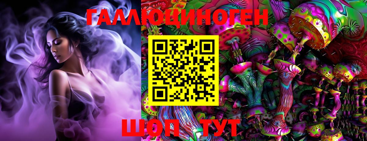 Псилоцибиновые грибы Psilocybine cubensis Алапаевск