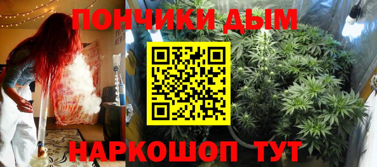 Шишки марихуана сатива Алапаевск